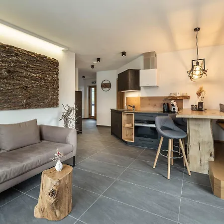 Holzlodge - Alpine Living In - Salzburger Sportwelt * Radstadt